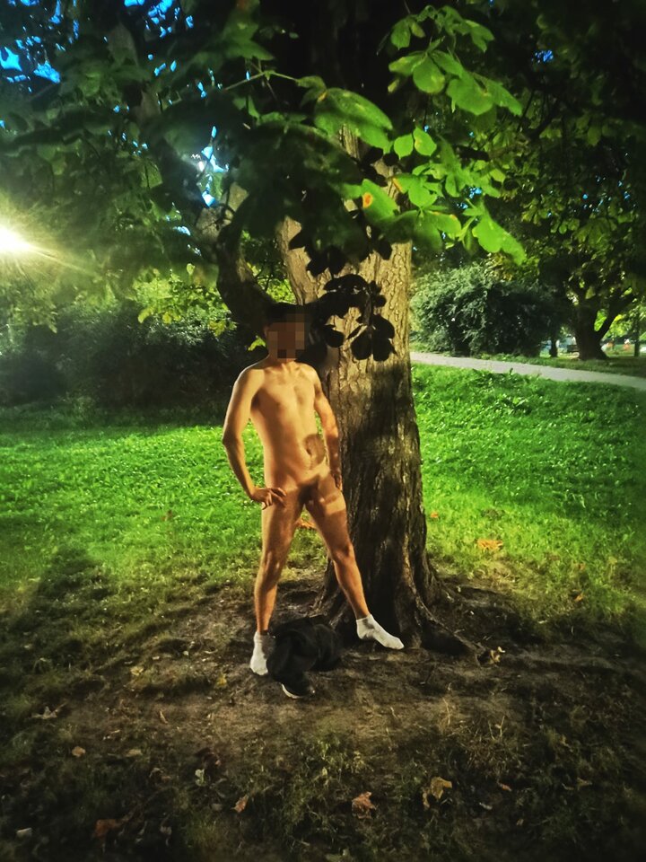 4235148f-3454-4af3-bb59-78ed60c26092.jpeg - Kowalik1998