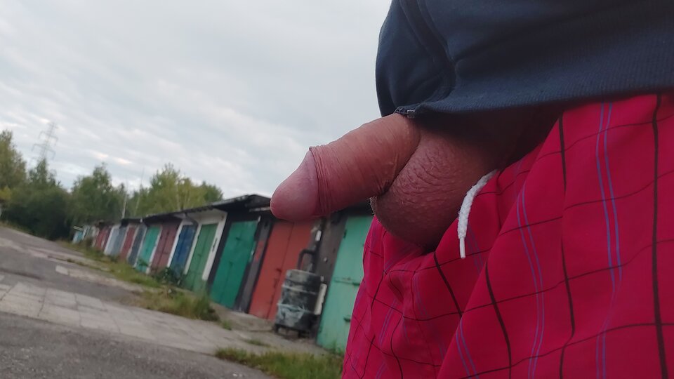 16949294855828910847058850789496.jpg - Max791Ruda