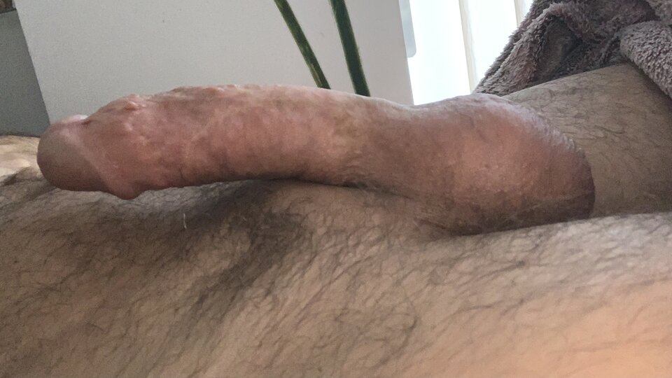 IMG_3465.jpeg - BOIFRENT