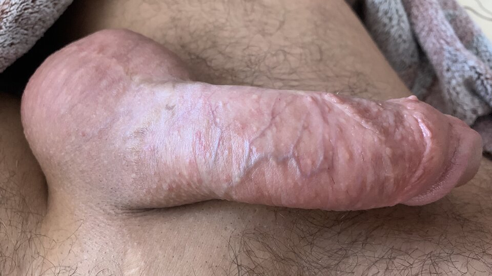 IMG_3459.jpeg - BOIFRENT