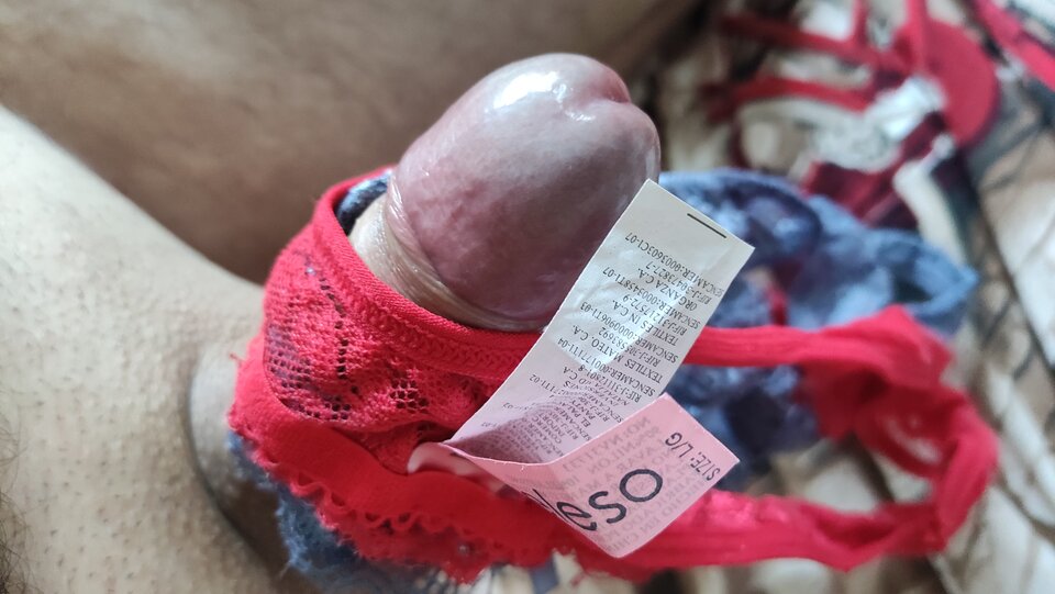 IMG_20230917_084105.jpg - Kriss7788