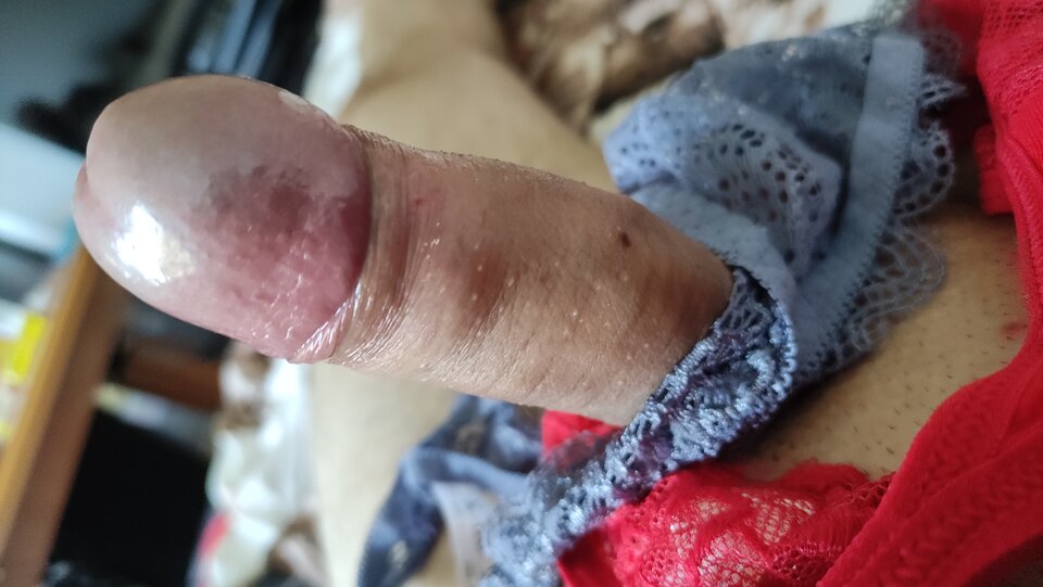 IMG_20230917_084047.jpg - Kriss7788