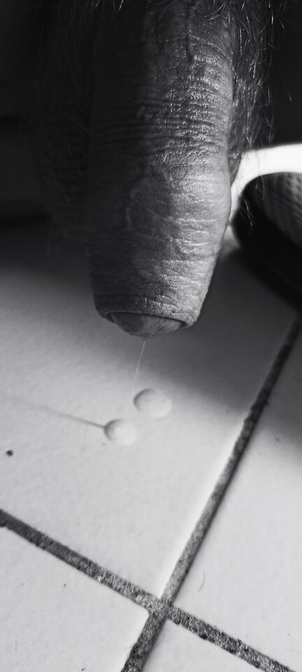 IMG_20230916_100354.jpg - belton50000