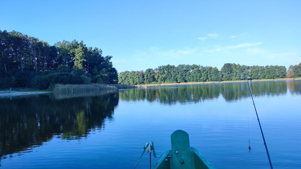 1000013291.jpg - Arekk39