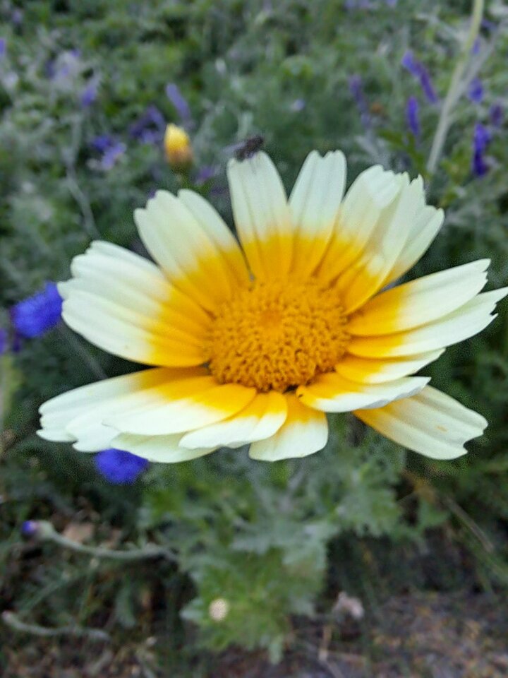 IMG-20230914-WA0004.jpg - Sunontheway