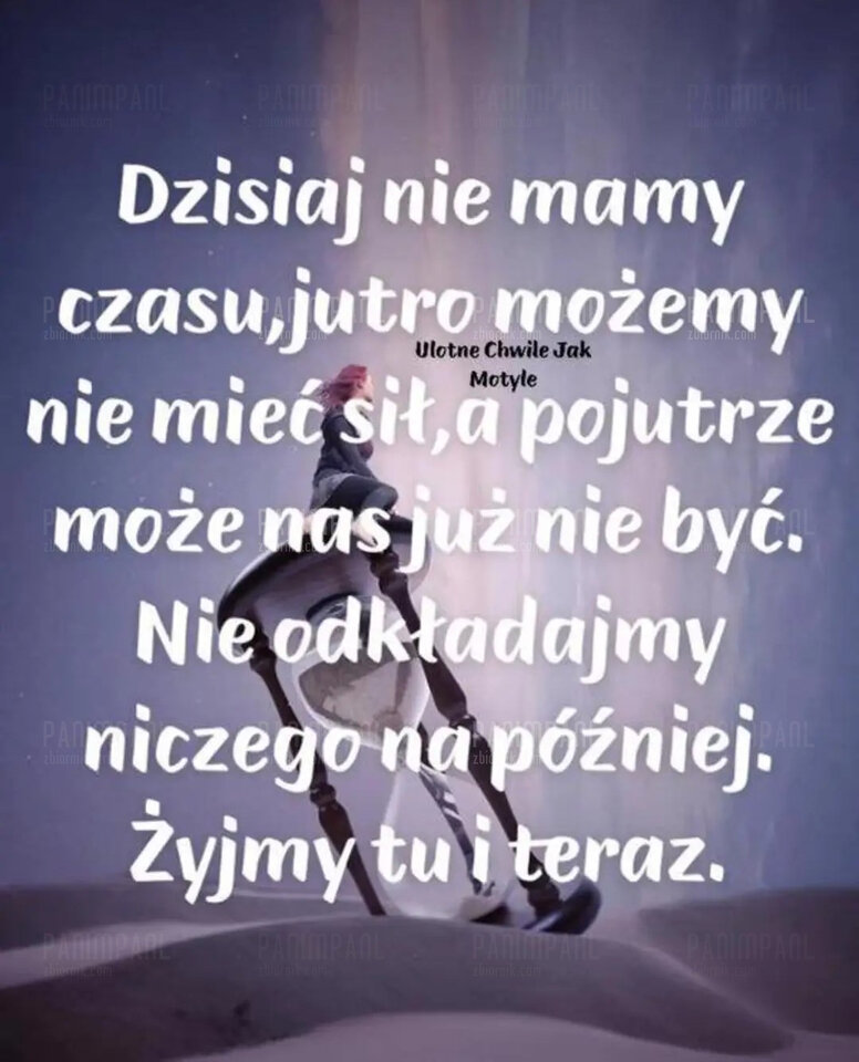 img_1_1657371482836.jpg - PaniMpanL