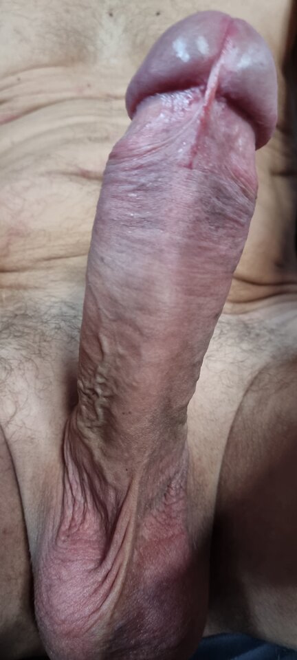 20230701_181239.jpg - Berektors