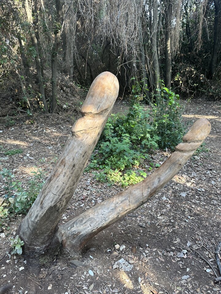 77FD42C9-D202-4B6C-8055-9461AE972974.jpeg - heniek88