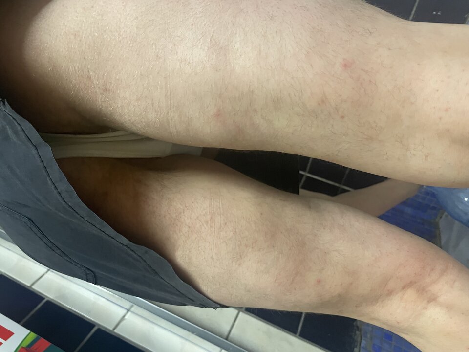 IMG_4963 (1).jpg - Naturalni1966