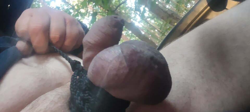 IMG_20230915_065532662.jpg - Bolo0803