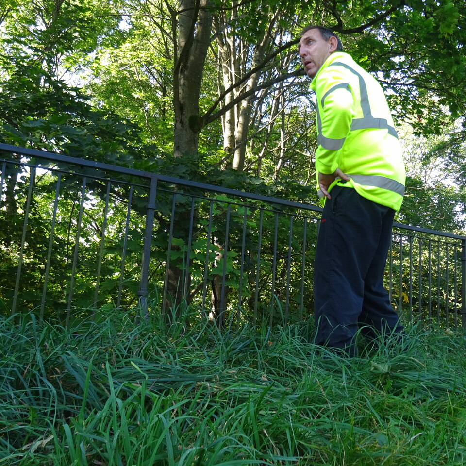 DSC01803.JPG - bojman8