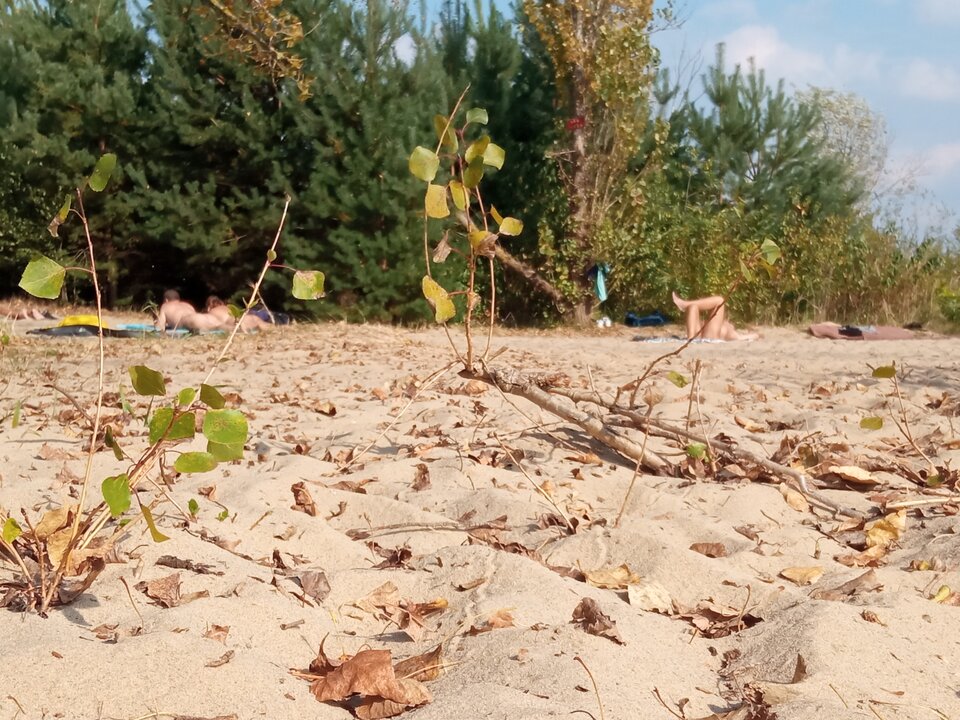 IMG_20230918_152336.jpg - przeznaczenie79