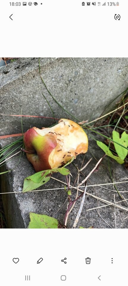 Screenshot_20230918-180323_Gallery.jpg - Sunontheway