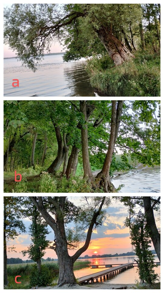 Zabawa w referendum 😉 - agneso