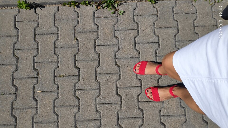 IMG_20230907_120300.jpg - Nicci