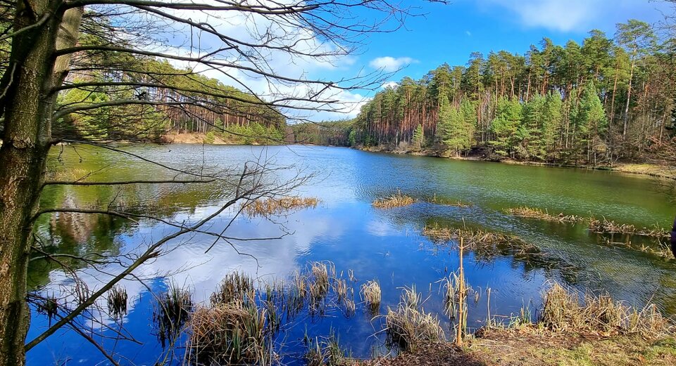 JOMZ3239.JPG - Konkretny_76