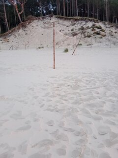 Dębki 2023 siatka jeszcze wisi 