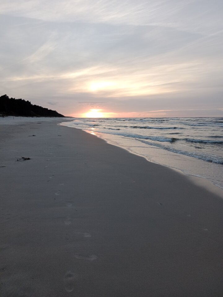 IMG_20230919_184341.jpg - Zwyczajny2710