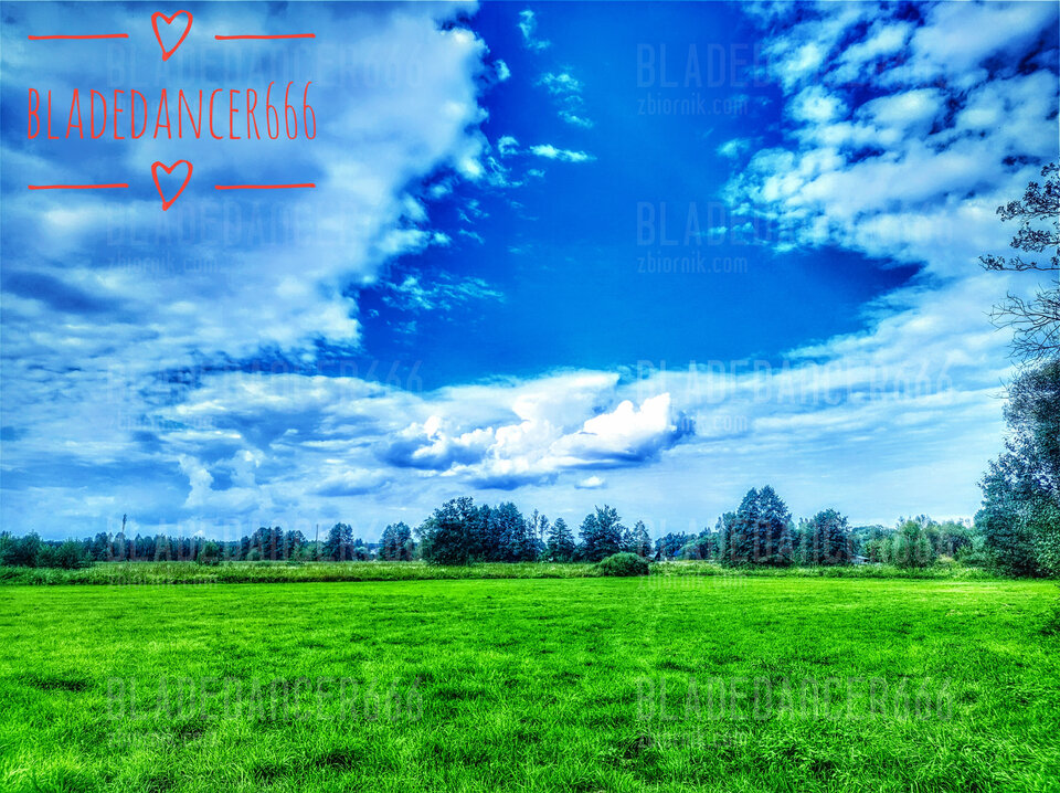 IMG_20230917_154217153_HDR~2-01.jpeg - Bladedancer666