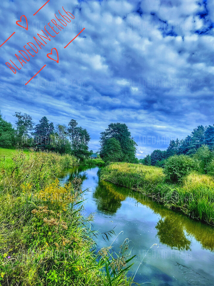 IMG_20230917_154837319_HDR~2-01.jpeg - Bladedancer666