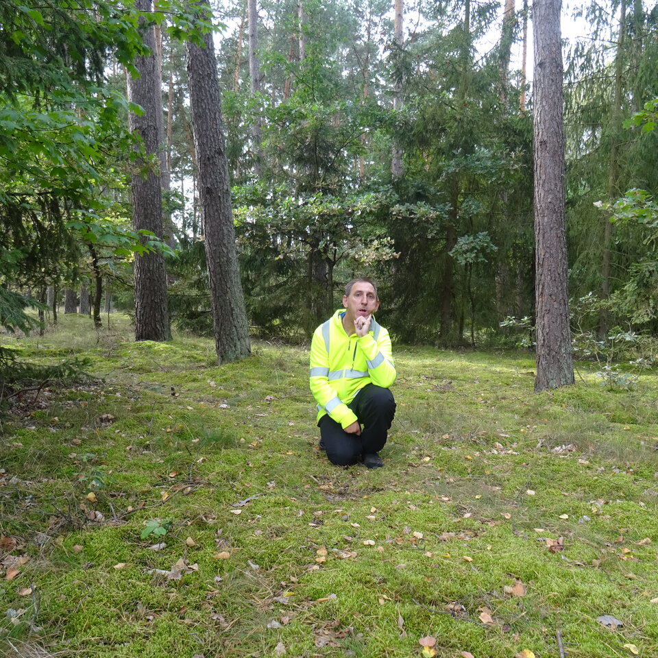 DSC01810.JPG - bojman8