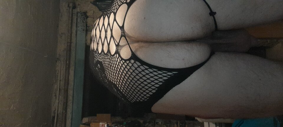 20230920_171437.jpg - Tygrys4040