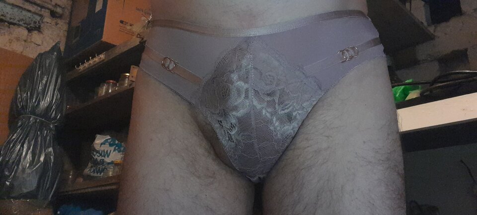 20230919_165742.jpg - Tygrys4040