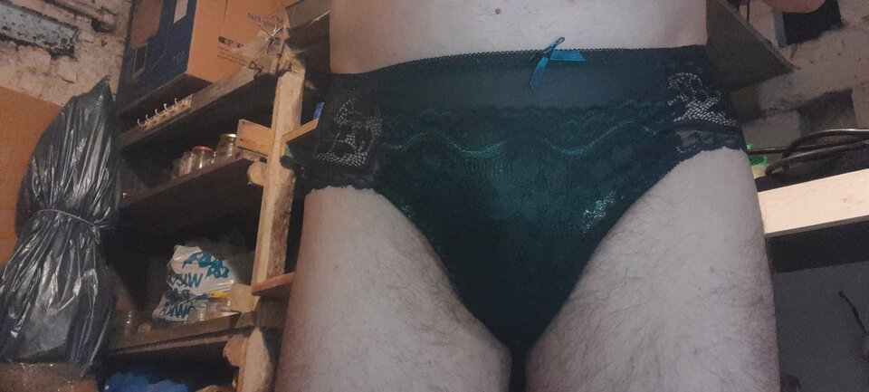 20230919_165901.jpg - Tygrys4040