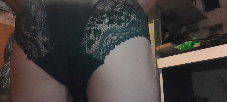 20230919_165910.jpg - Tygrys4040