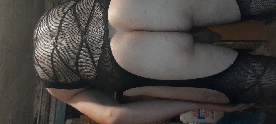 20230920_174248.jpg - Tygrys4040