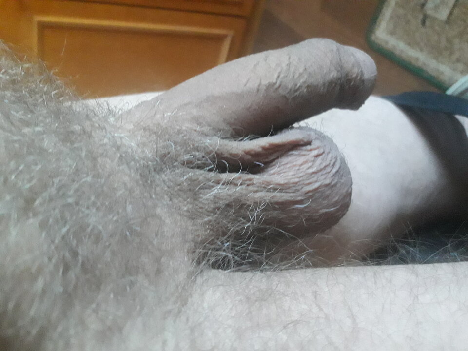 20230826_085647.jpg - brus13