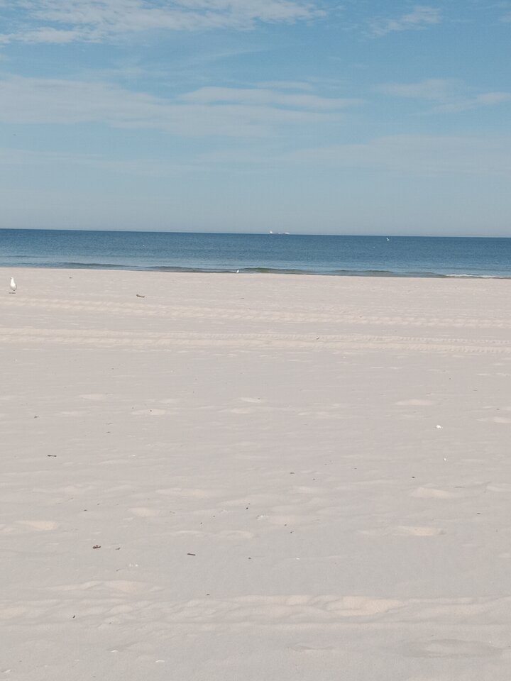 IMG_20230921_112706.jpg - Zwyczajny2710