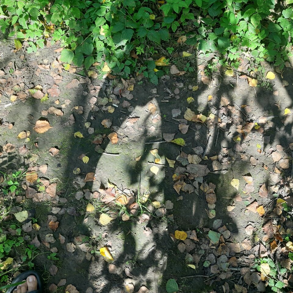 20230921_144933.jpg - Ali70plus