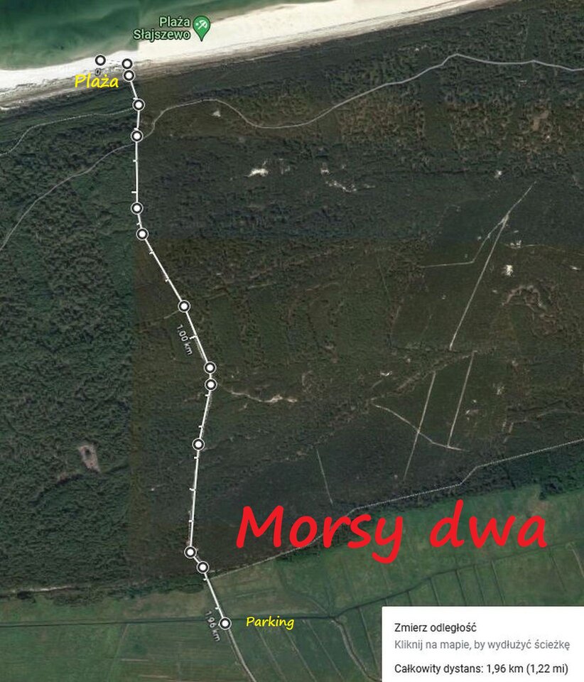 Zbiornik 2239. Jeszcze lato !!! - Morsy_dwa