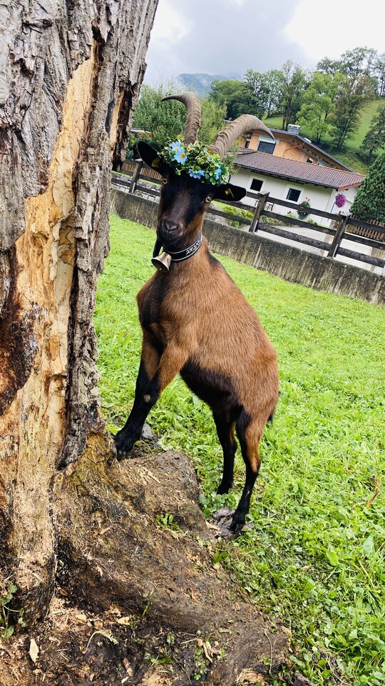 IMG_6008.jpeg - May_Day