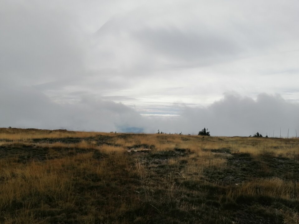 IMG_20230923_131754.jpg - shadow6999