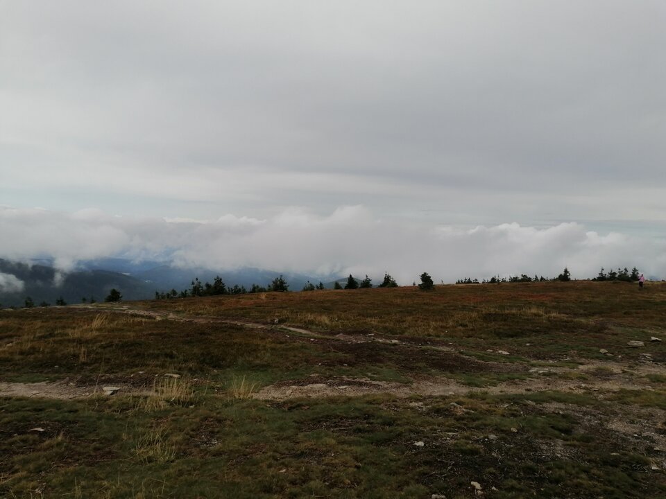 IMG_20230923_132445.jpg - shadow6999