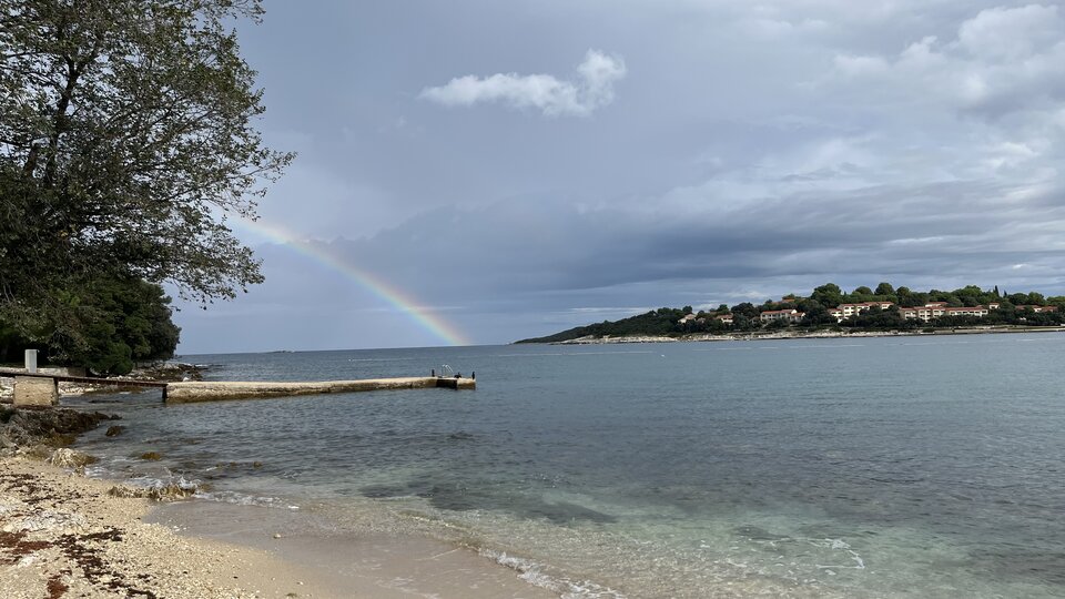 Koversada-2023.jpeg - Wicki74