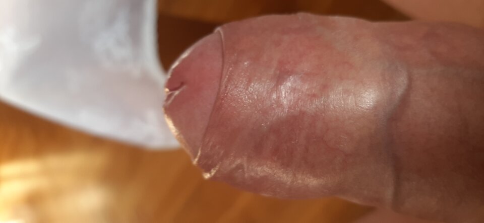 16955375914265249859543505556134.jpg - Mich1977