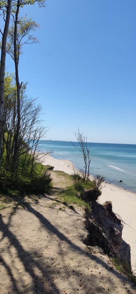 IMG_20230924_093929.jpg - edytkaandrzej