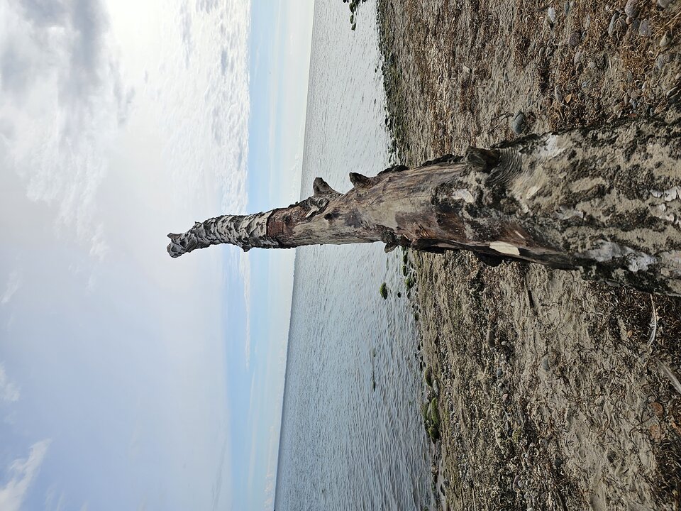 1000008140.jpg - Fann73