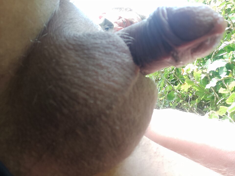 IMG_20230924_104721.jpg - Kazek1972