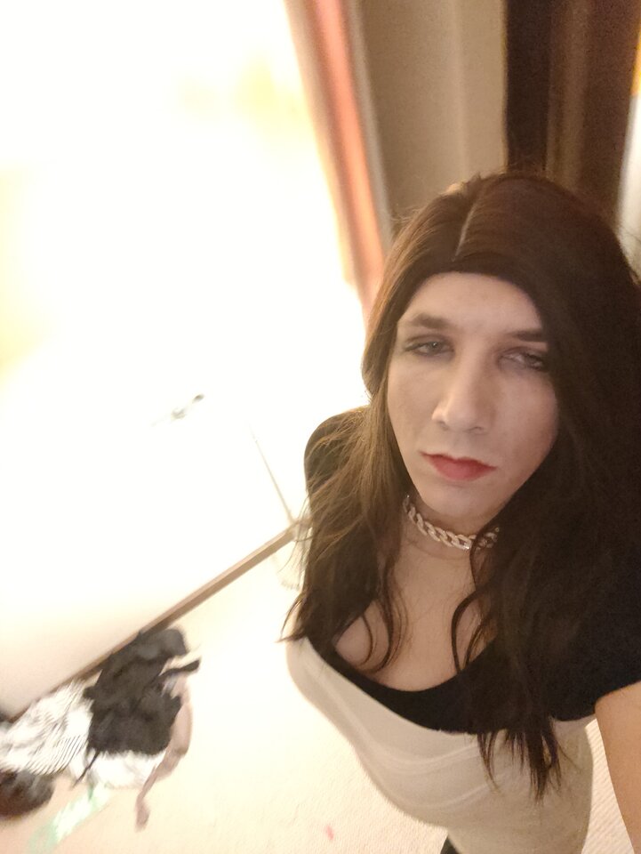 IMG20230923223841.jpg - PATII20