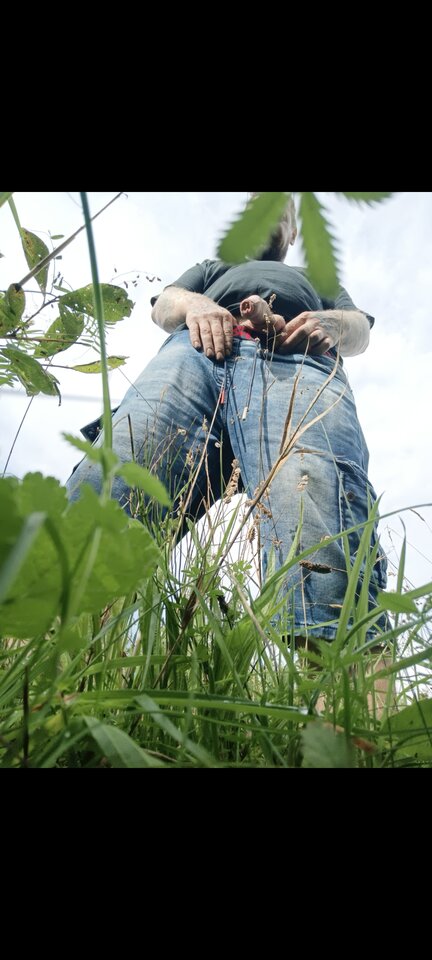 Screenshot_2023-09-25-02-17-49-11_99c04817c0de5652397fc8b56c3b38 - MadamandViking