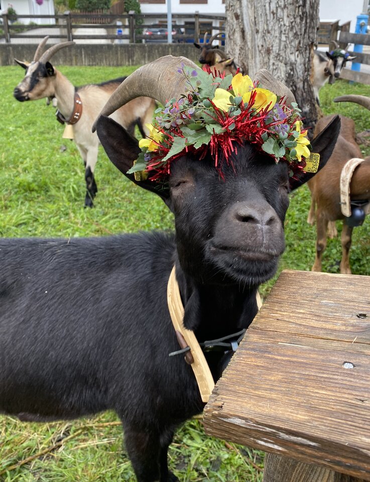 IMG_5991.jpeg - May_Day