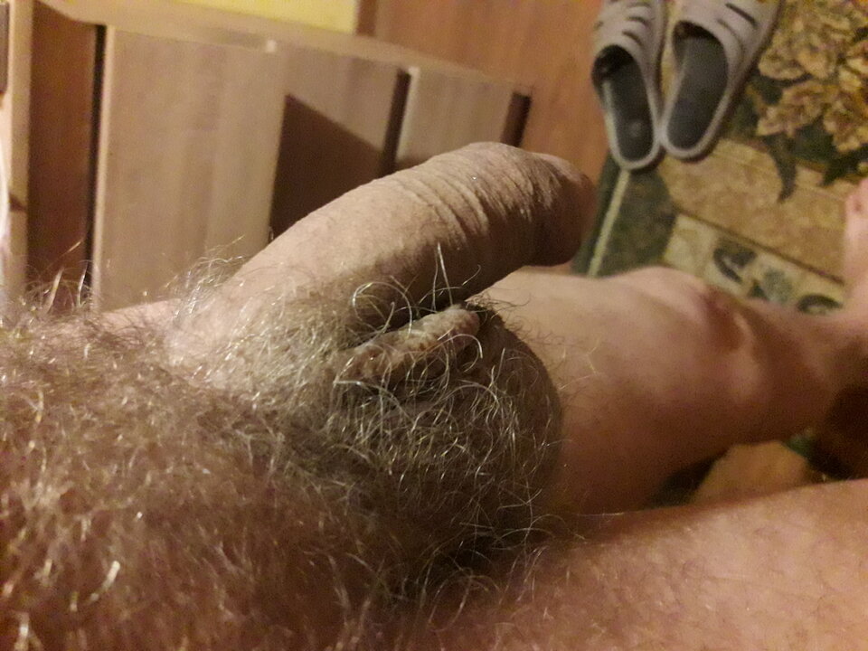 20230924_053227.jpg - brus13