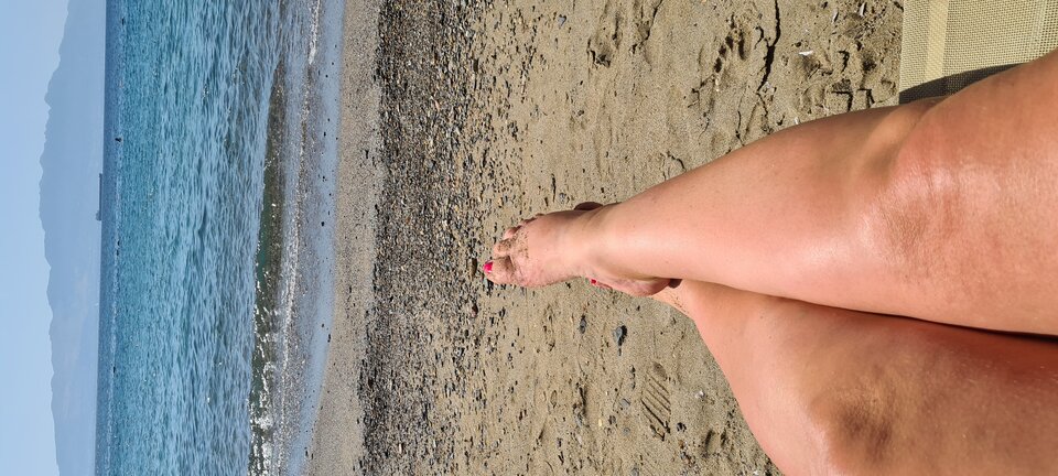 20230924_121710.jpg - Haralan70