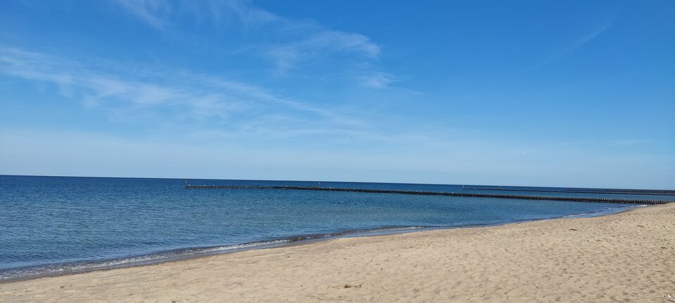 IMG_20230925_111504.jpg - edytkaandrzej