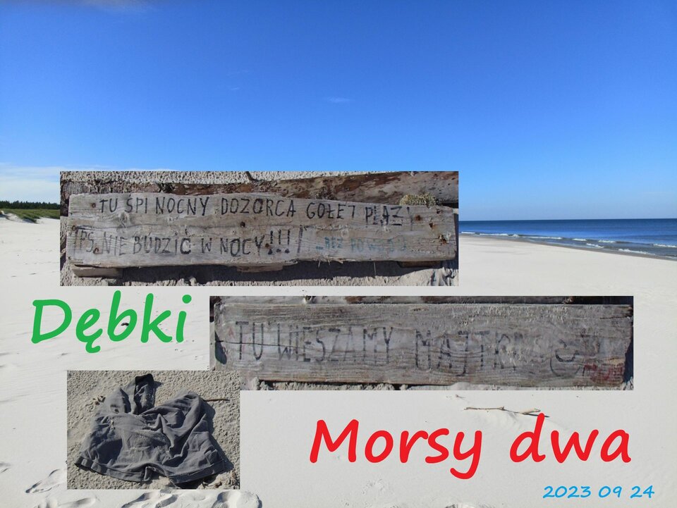 Dębki - jesienne. - Morsy_dwa