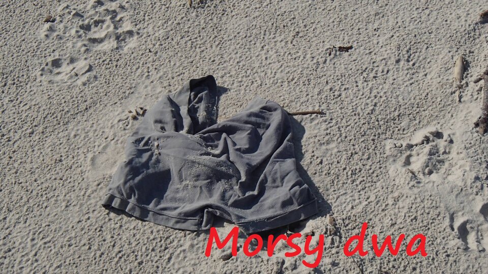 Dębki - jesienne. - Morsy_dwa